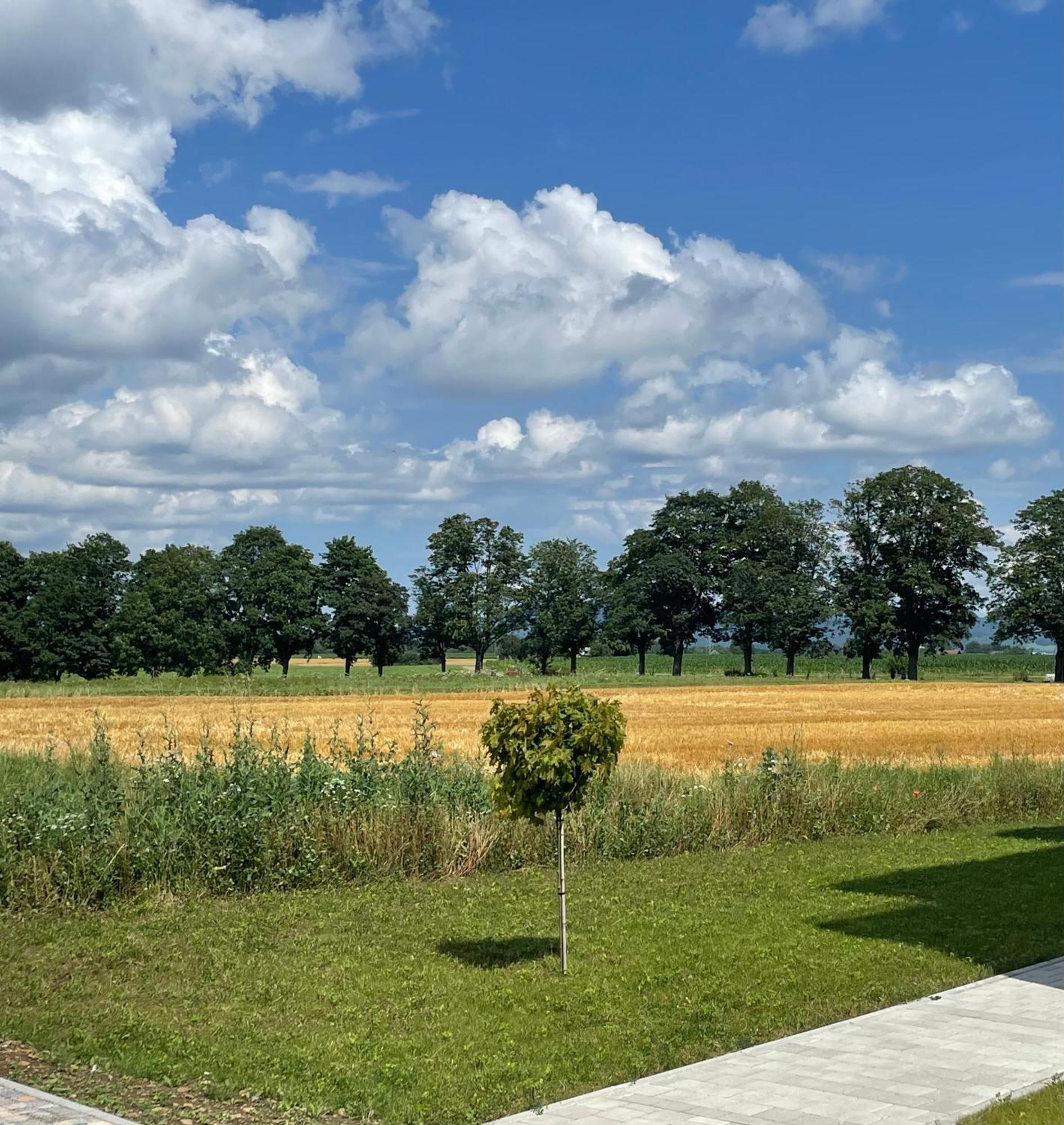 Studio Apartment Albblick Trossingen Buitenkant foto